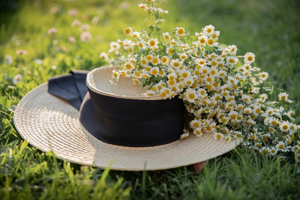 hat, beautiful flowers, chamomile, summer, flowers, bloom, nature, plant, flower background, fashion, woman, girl, grass, flower wallpaper, lawn